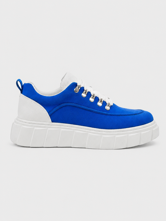 Men's Vega Cobalt
